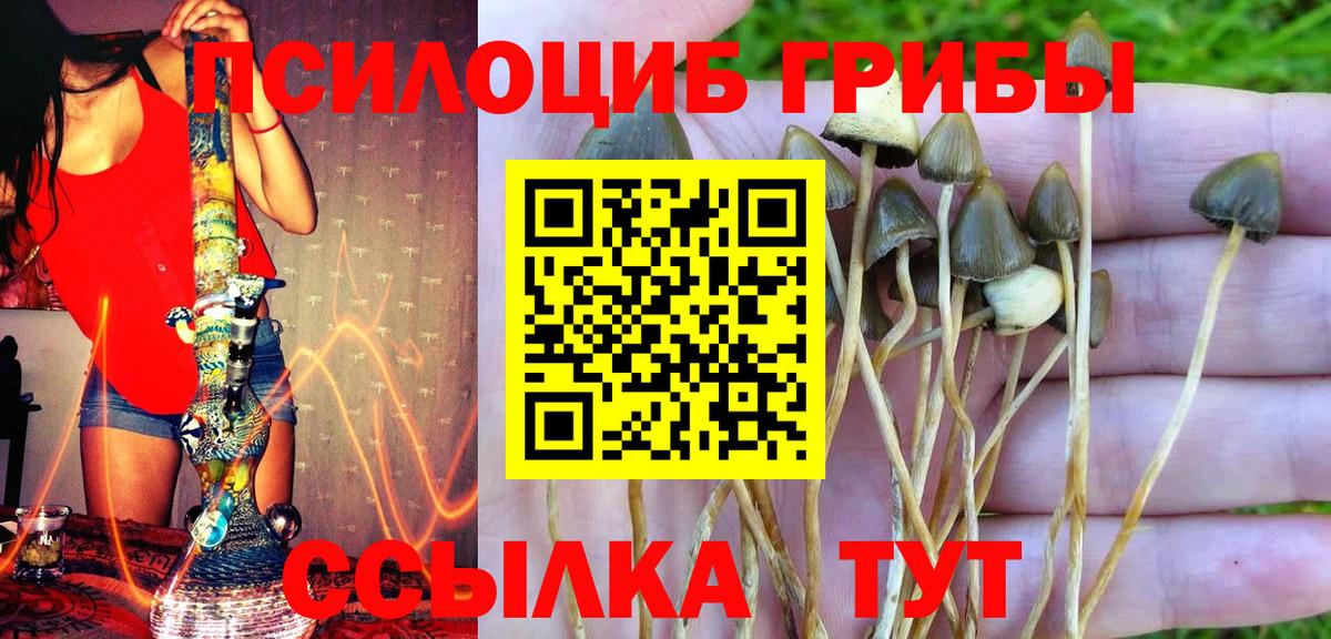Галлюциногенные грибы мухоморы Оренбург